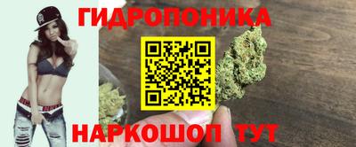 соль ск Краснодар