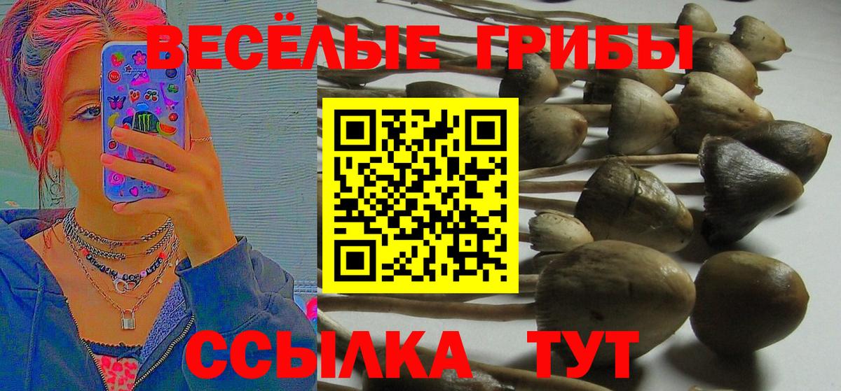 Галлюциногенные грибы Cubensis Киржач