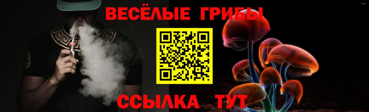 Галлюциногенные грибы мицелий  Вход с VPN  где найти наркотики  Галлюциногенные грибы мухоморы  Киржач 